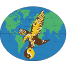 1. Österreichischer HAPKIDO Verein Graz